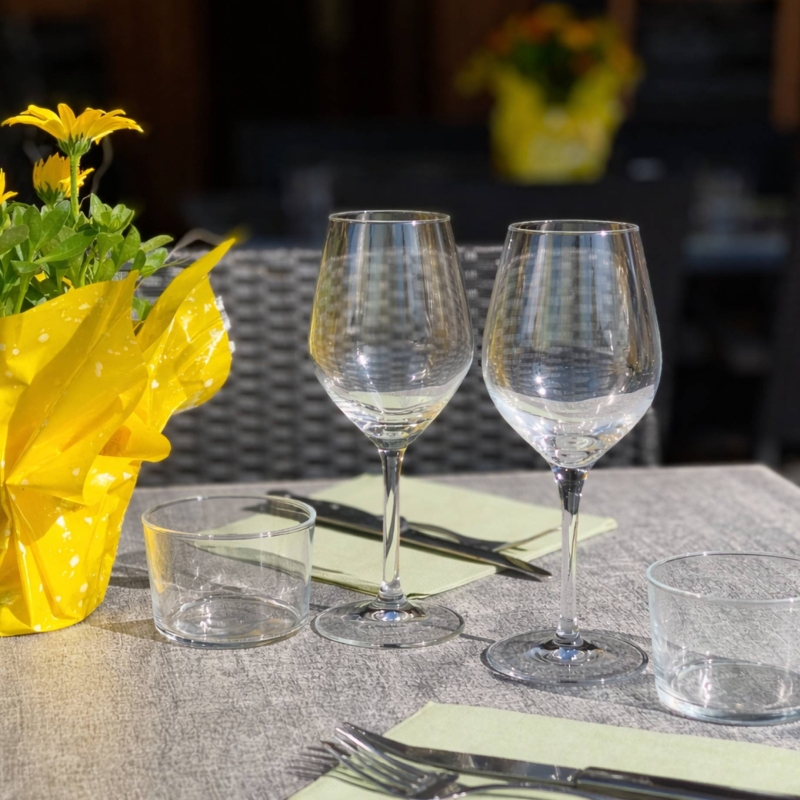 Le restaurant - Le Boeuf Sur La Place - restaurant MARCIAC - Restaurant Vic en Bigorre  - Restaurant Hautes-Pyrénées - restaurant proche Vic en Bigorre - restaurant sympa MARCIAC